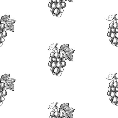 Soyut kroki Berry Seamless Modeli