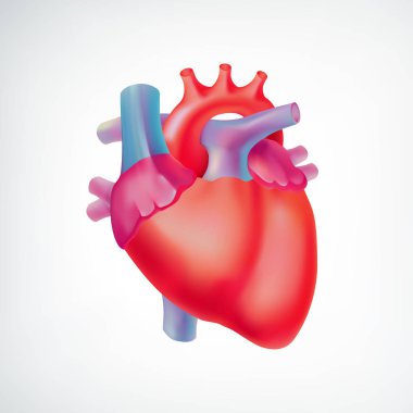 Tıbbi ışık Organ anatomik kavramı
