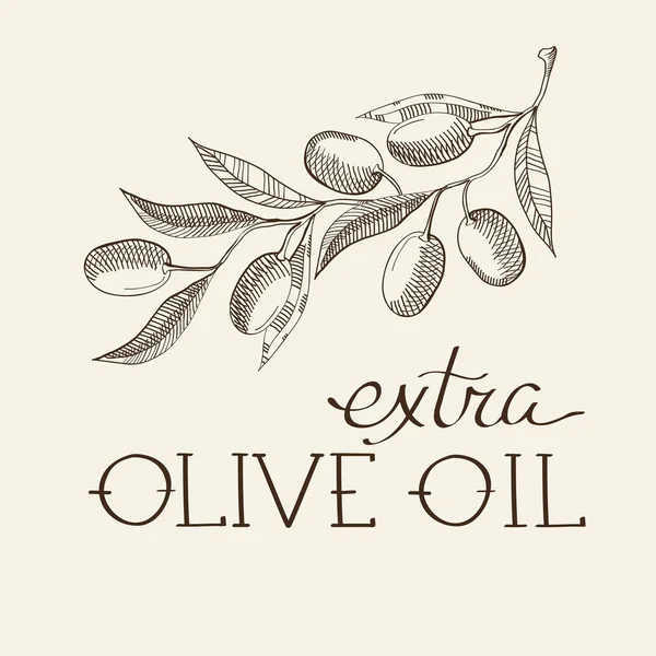Сприг оливкового декоративного ескізу — стоковий вектор