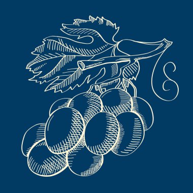 Soyut meyve el çekilmiş kavramı