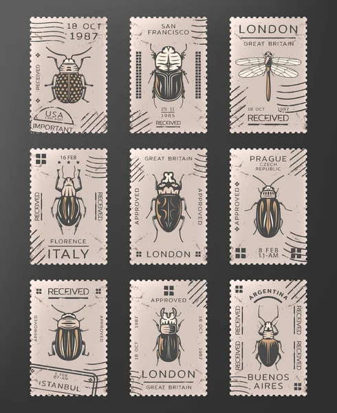 Set de sellos de insectos de color vintage — Vector de stock