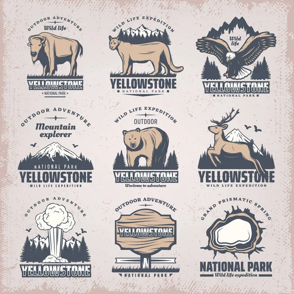 Vintage Colored National Park Emblems Set — Stock Vector