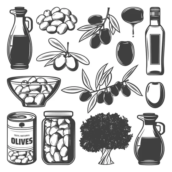 Collezione di olive naturali vintage — Vettoriale Stock