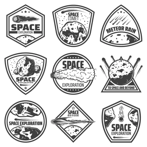 Set de etiquetas de cometas monocromáticos vintage — Vector de stock