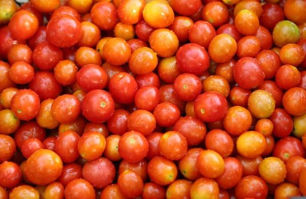 Red ripe tomatoes — Stock Photo, Image