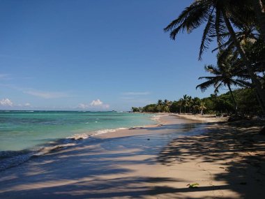 Dominik plaj manzarası ve doğa