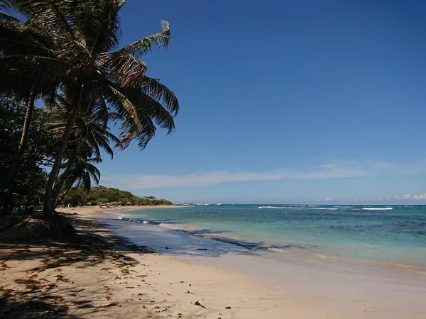 Vista Natureza Praia Dominicana — Fotografia de Stock