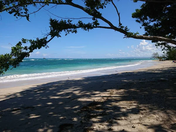 Dominicaanse Strand Uitzicht Natuur — Stockfoto