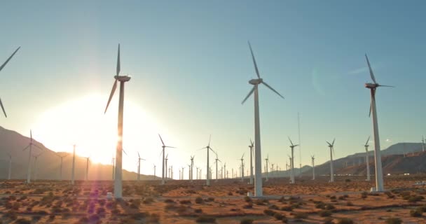 Windmolens Uitgestrekte Velden Zonsondergang — Stockvideo