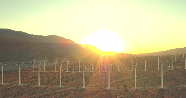 Windmolens Uitgestrekte Velden Zonsondergang — Stockvideo