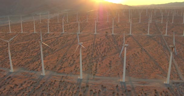 Molinos Viento Grandes Campos Atardecer — Vídeo de stock