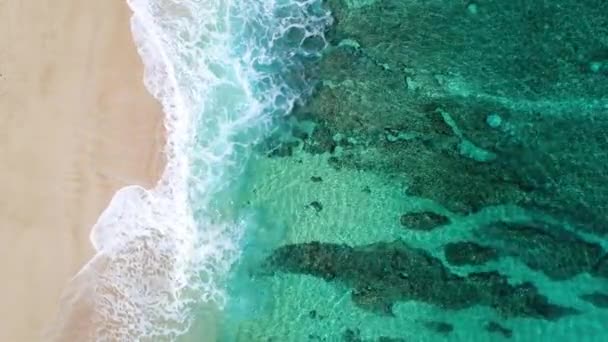 夏のビーチ日サンゴ礁と白い砂浜の海岸線を局所にクラッシュ航空写真ビュー海の波 — ストック動画