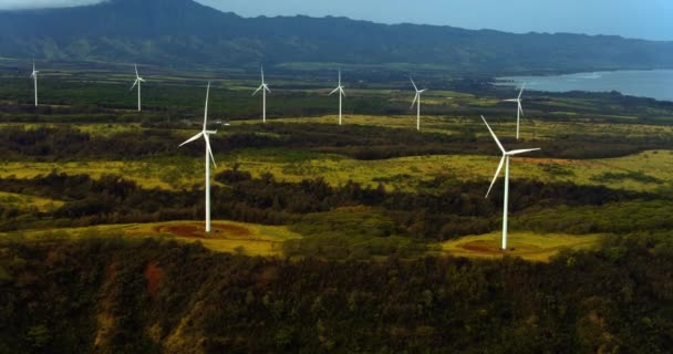 Luchtfoto Van Windmolens Draaien Zonnige Zomerdag Tropisch Bos Omgeving — Stockvideo