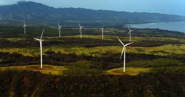 Luftaufnahme Von Windmühlen Die Sich Einem Sonnigen Sommertag Tropischer Waldumgebung — Stockvideo