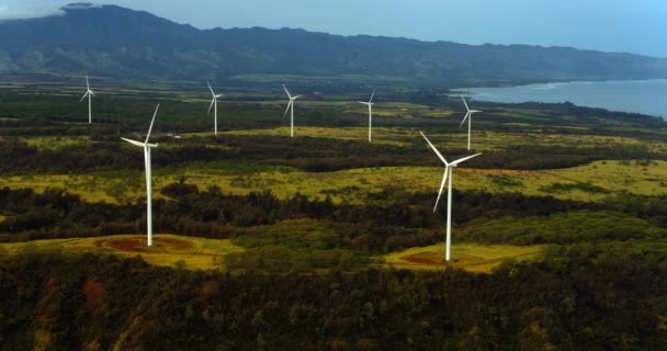 Vista Aérea Molinos Viento Girando Soleado Día Verano Entorno Selva — Vídeos de Stock