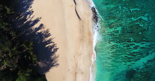 Vista Aérea Océano Olas Estrellándose Costa Tópica Playa Arena Blanca — Vídeos de Stock