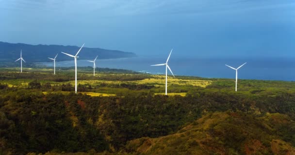 Luftaufnahme Von Windmühlen Die Sich Einem Sonnigen Sommertag Tropischer Waldumgebung — Stockvideo