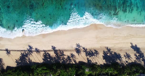夏のビーチ日サンゴ礁と白い砂浜の海岸線を局所にクラッシュ航空写真ビュー海の波 — ストック動画
