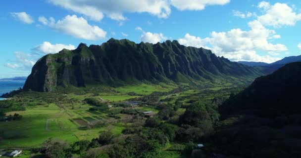 Hawaii Oahu Doğu Tarafındaki Yemyeşil Orman Dağ Manzarası Doğru Uçan — Stok video