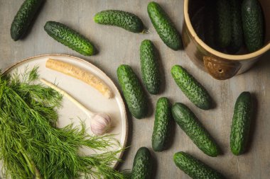 Mayalanmış salatalık turşusu hazırlamak için gerekli malzemeler. Mayalanmış yiyecek..