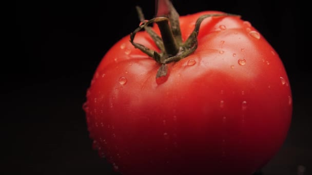 Água de tomate vermelha orgânica recém-lavada cai sobre um fundo preto. Close-up de uma gota de água flui sobre a superfície dos vegetais.Alimentação saudável — Vídeo de Stock