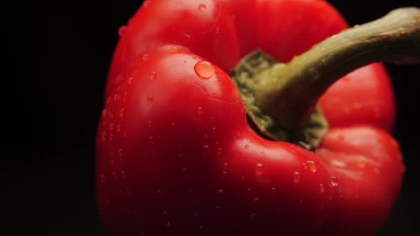 Verse gewassen biologische rode paprika water druppels op een zwarte achtergrond. Close-up van een druppel water stroomt over het oppervlak van de groenten.Gezond eten — Stockvideo