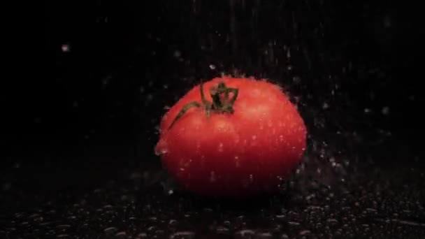 Tomate rouge biologique fraîche lavée avec des gouttes d'eau sur un fond noir. Gros plan d'un puissant jet d'eau à la surface des légumes. Une alimentation saine — Video