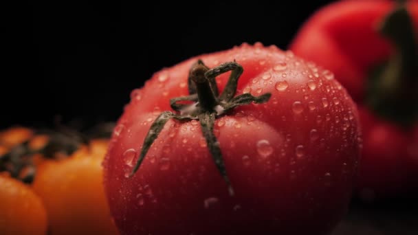 Świeżo umyte czerwone pomidory, żółta wiśnia i czerwona papryka z kroplami wody na czarnym tle. Zbliżenie kropli wody przepływa przez powierzchnię roślin.Zdrowe odżywianie — Wideo stockowe
