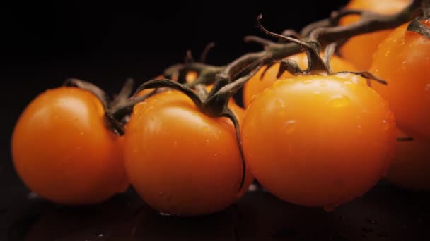 Cereja amarela lavada fresca com gotas de água em um fundo preto. A iluminação muda de tecla baixa para tecla alta. Alimentação saudável — Vídeo de Stock