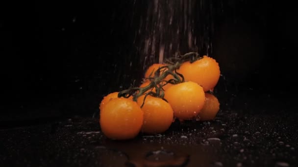 Cerise jaune bio fraîche lavée avec des gouttes d'eau sur un fond noir. Gros plan d'un puissant jet d'eau à la surface des légumes. Une alimentation saine — Video