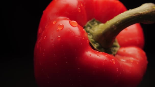 Φρεσκοπλυμένο οργανικό κόκκινο bell pepper νερό σταγόνες σε μαύρο φόντο. Κοντινό πλάνο μιας σταγόνας νερού ρέει πάνω από την επιφάνεια των λαχανικών.Υγιεινή διατροφή — Αρχείο Βίντεο
