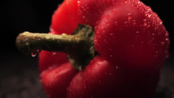 Fresco lavado orgânico vermelho sino pimenta gotas de água em um fundo preto. Close-up de uma gota de água flui sobre a superfície dos vegetais.Alimentação saudável — Vídeo de Stock