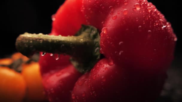 Świeżo umyta czerwona papryka i żółta wiśnia na czarnym tle. Zbliżenie kropli wody przepływa przez powierzchnię warzyw. Zdrowe odżywianie — Wideo stockowe