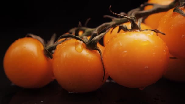 Cerise jaune fraîche lavée avec des gouttes d'eau sur un fond noir. Gros plan d'une goutte d'eau qui coule sur la surface des légumes.Une alimentation saine tombe sur un fond noir. Gros plan d'une goutte — Video