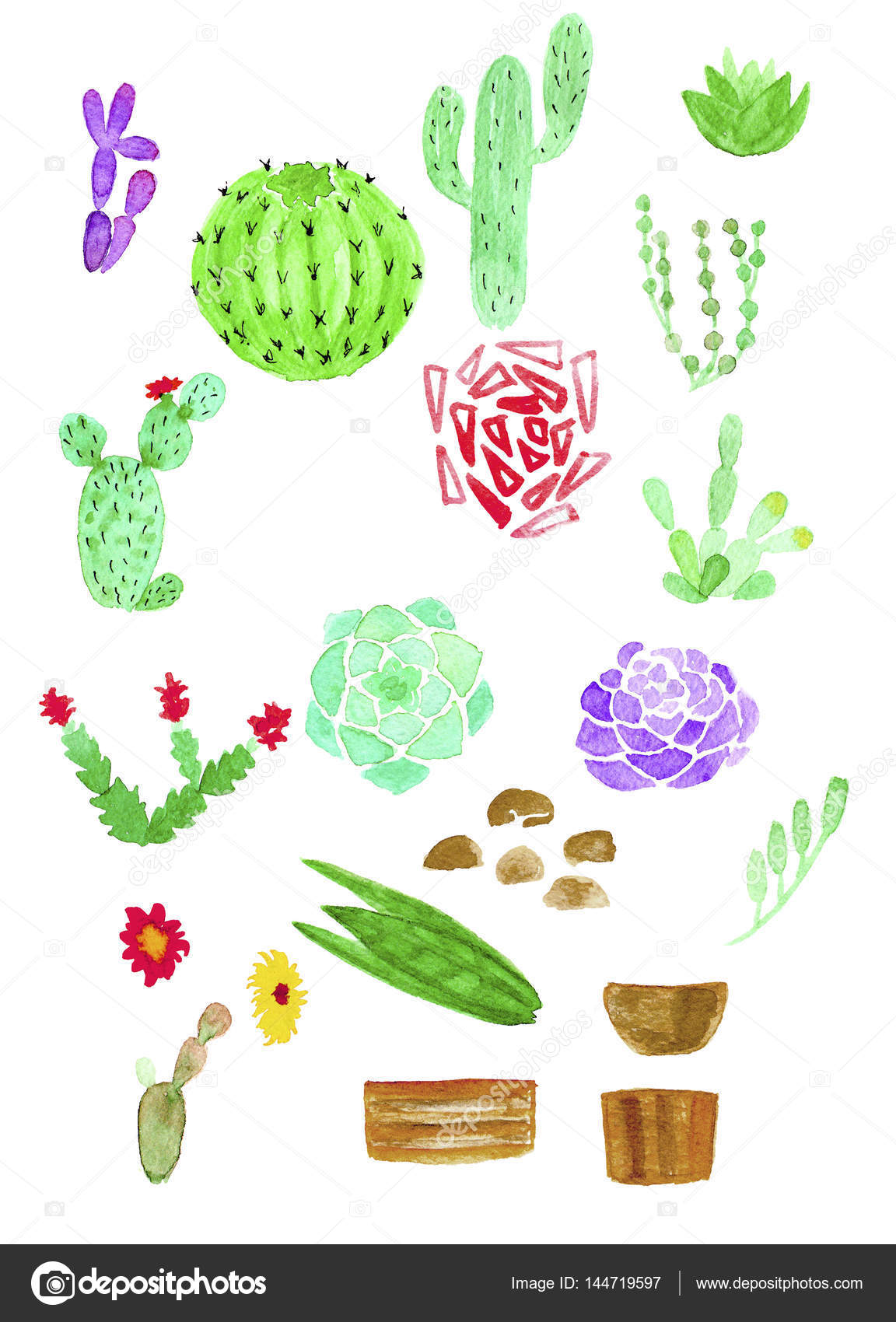 Cactus and succulents with pots watercolor hand draw isolated — Stock