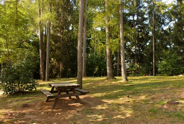 Kozalaklı bir ormanın ortasında piknik parkı, Valchiusella, Piedmont bölgesi, İtalya — Stok fotoğraf
