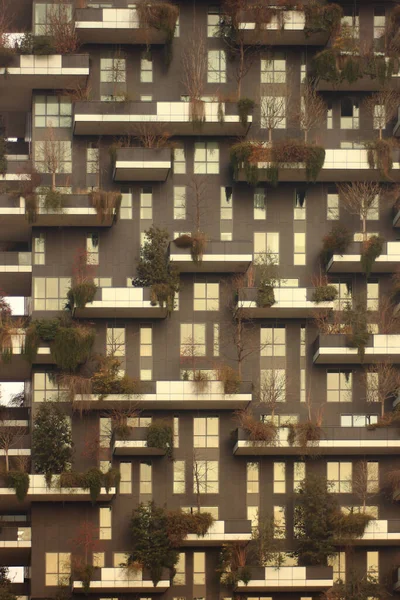 Milan skyline in the new financial quarter of Porta Nuova, in the background the famous vertical forest skycrapers — Stock Photo, Image