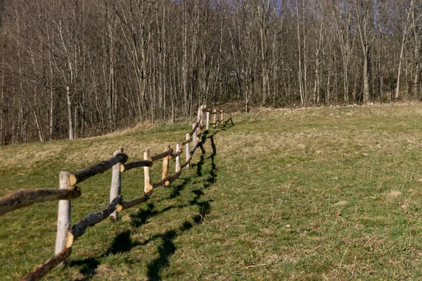 Cerca de log em um prado de pastoreio para vacas — Fotografia de Stock