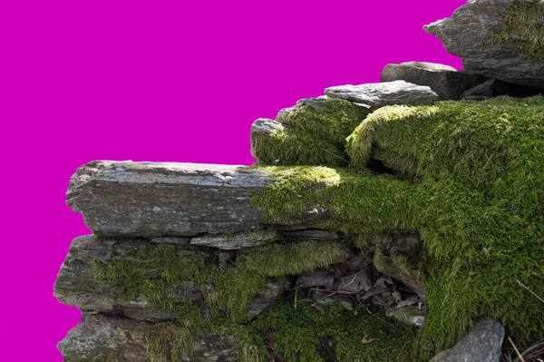 Ruinas de piedra con musgo en los Alpes italianos — Foto de Stock