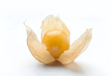 Altın physalis meyve