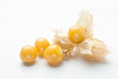Altın physalis meyve