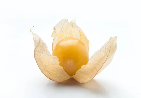 Frutos de physalis dourados — Fotografia de Stock