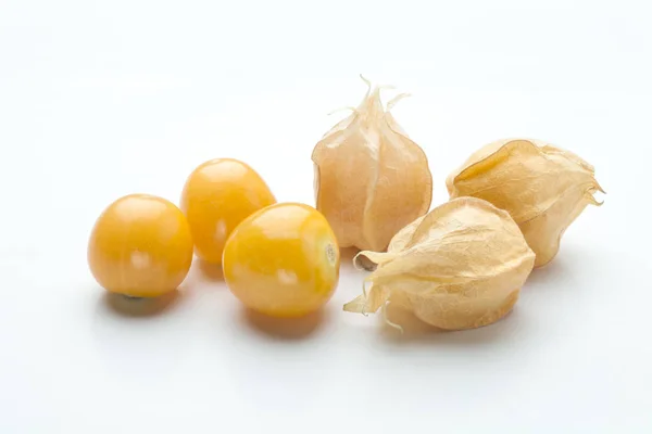 Frutos de physalis dourados — Fotografia de Stock