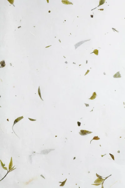 Textur aus chinesischem Reispapier — Stockfoto