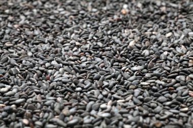 Siyah susam tohumları