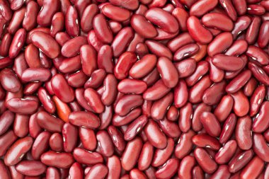 Kırmızı böbrek fasülyesi