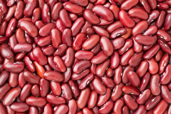 Kırmızı böbrek fasülyesi