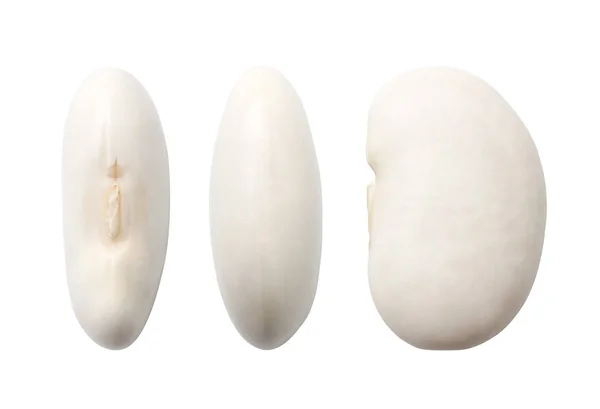 白い背景に隔離された白い腎臓豆のクローズアップ — ストック写真