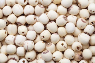 Kurumuş nilüfer tohumlarının besin arkaplanı