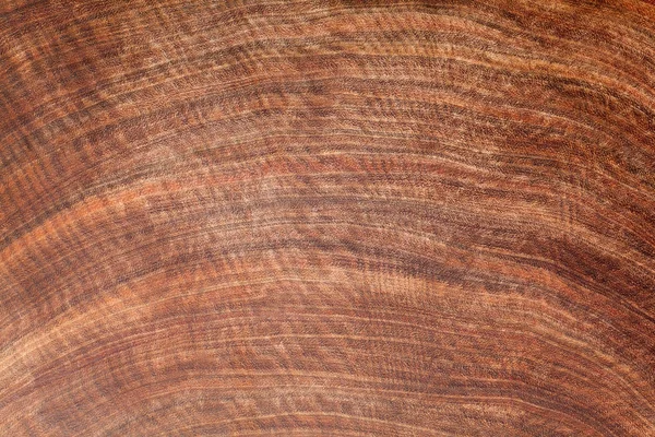 Brown wood texture background. Cross section.